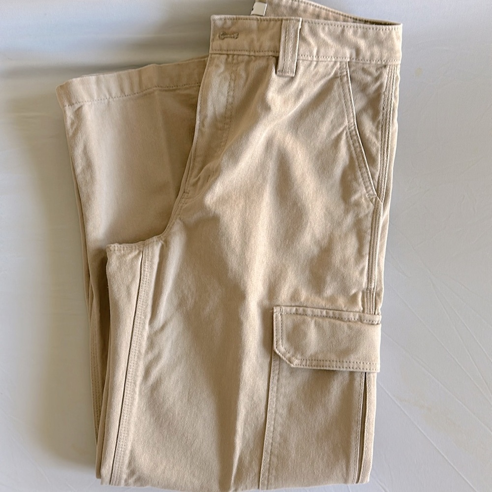 Aritzia TNA utility pants